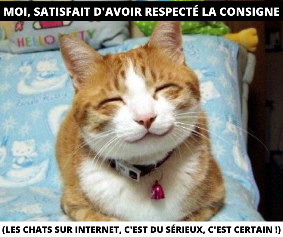 Chat-Tayo-Software_7